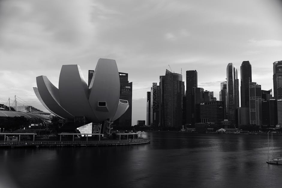 13or du hip hop : Musique et tendances actuelles