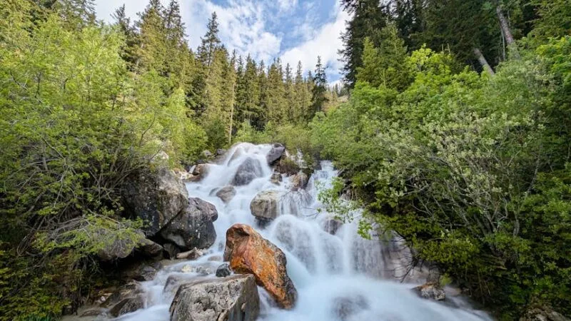 French Stream : Comment y accéder facilement ?