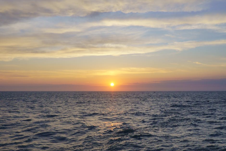 Actualités de 13or : Nouveautés et Clips à Suivre