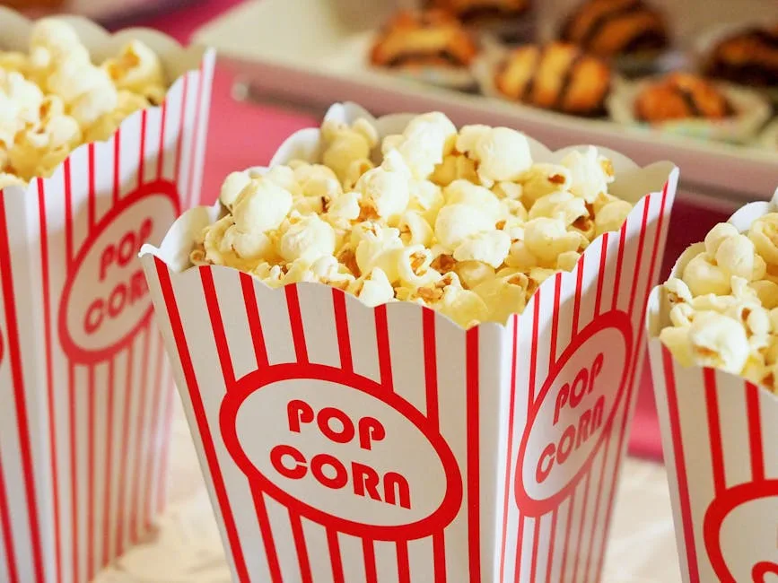 FilmoFlix : Est-ce Légal de Regarder des Films ?