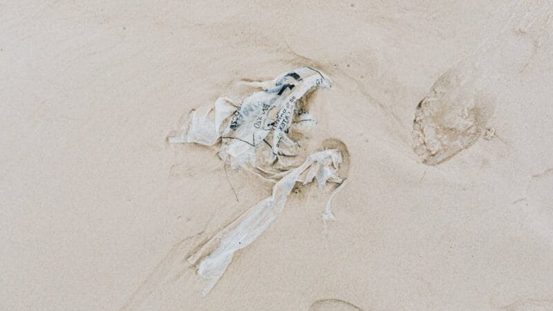 Cpasbien : Nouvelle Adresse et Accès Sécurisé