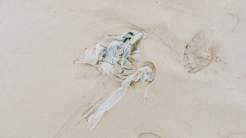 Cpasbien : L’adresse fiable pour vos téléchargements