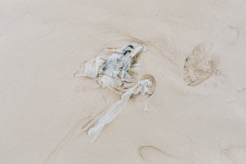 Cpasbien : L’adresse fiable pour vos téléchargements