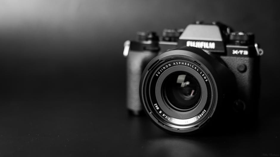 Découvrez le Meilleur Film X en Streaming Gratuit