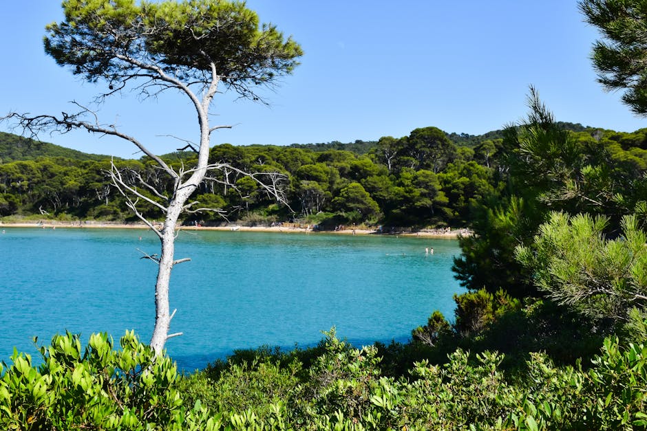 Idées de vacances originales avec les enfants