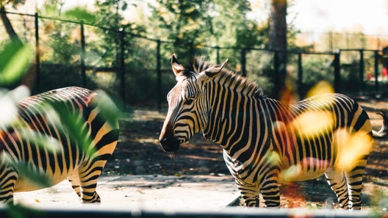 Planifier des Sorties Éducatives en Famille