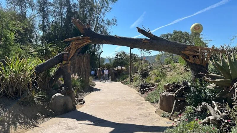 Idées pour des sorties familiales réussies