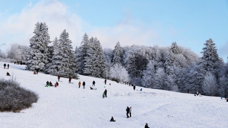Activités familiales pour des vacances réussies