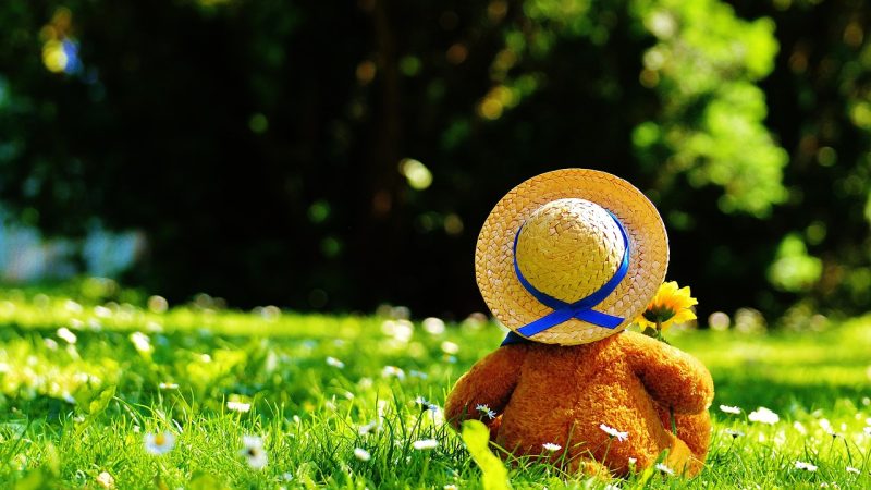 Choisir une peluche pour un enfant : usage, format et entretien